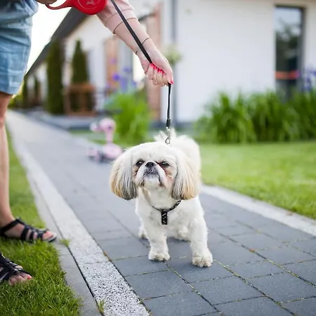 Akacjowa Casa de Férias *