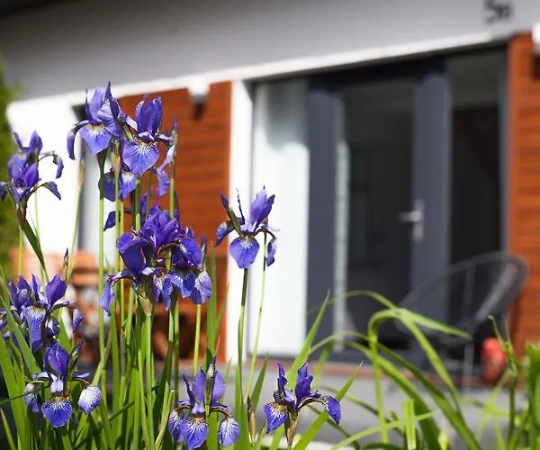 Prázdninový dům Akacjowa