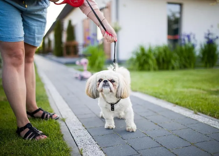 Akacjowa 度假居 *